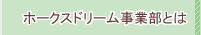 ホークスドリームとは
