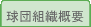 球団組織概要